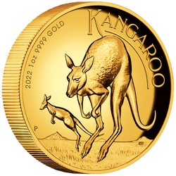Australijski Kangur 1 uncja Złota 2022 Proof High Relief