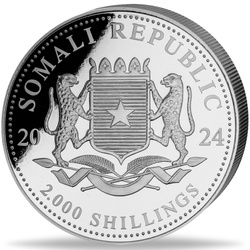 Somalia: African Wildlife - Leopard 1000 grams Silver 2024