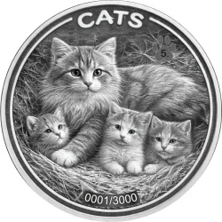 Moneda de Plata Cats 1 onza de Plata 2026 Prooflike