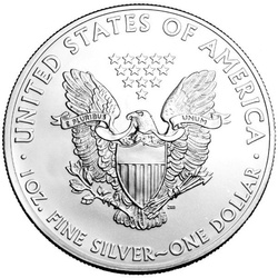 American Eagle 1 oz Silber 2013