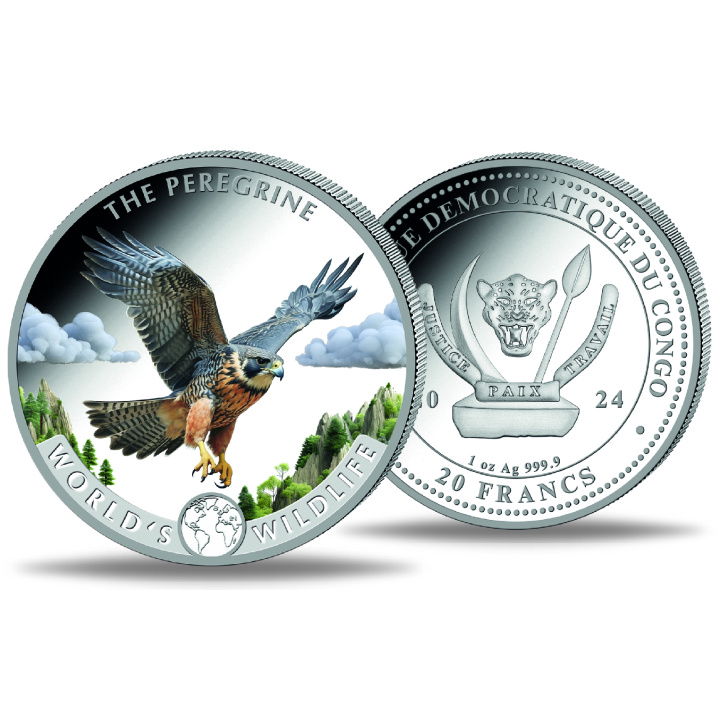 Congo: World‘s Wildlife - Peregrine Falcon kolorowany 1 uncja Srebra 2024