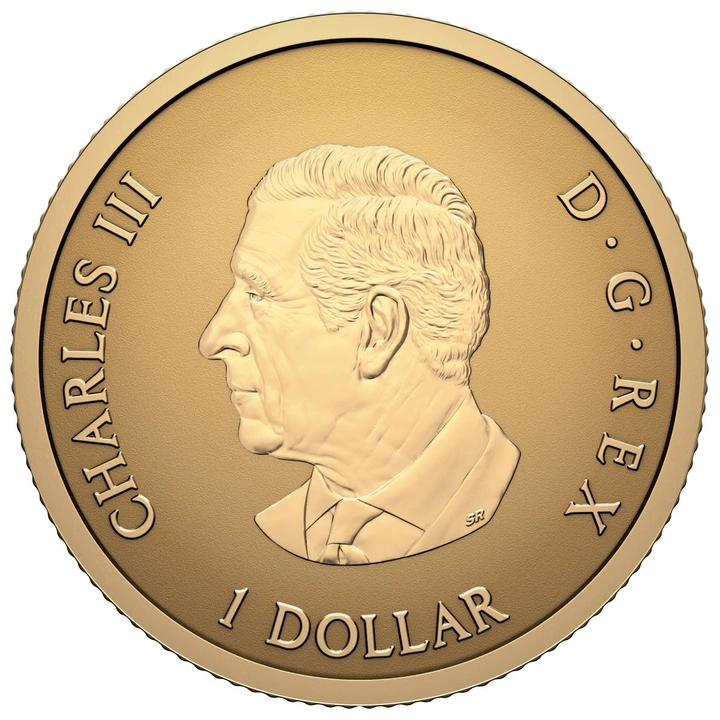 Moneda de oro Iconic Maple Leaf 0,5 g de oro 2026 Reverse Proof