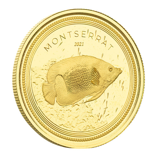 Montserrat Blue Girdled Angelfish 1 oncia d'oro 2021