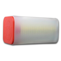 Aquila americana 1 oncia d'oro 2020