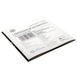 Big Five: Büffel 1 oz Silber 2021