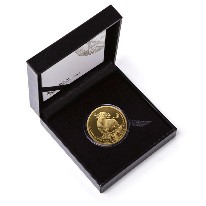 Złota Moneta Big Five III: Buffalo 1/4 uncji Złota 2026 Proof