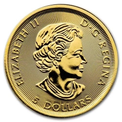 Canada Orso Polare 1/10 oz oro 2020