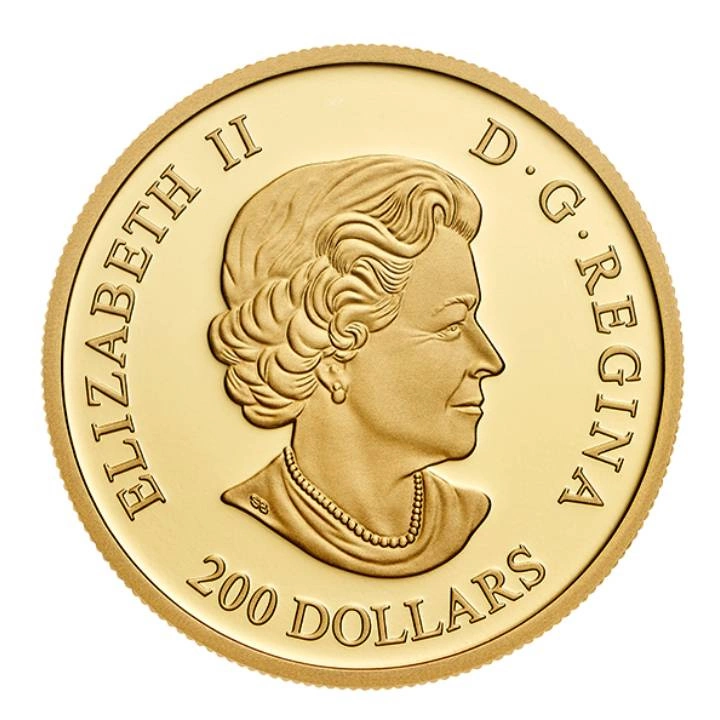 Kanada: Atlantische Papageitaucher 1 Unze Gold 2019 Polierte Platte