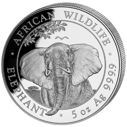 African Wildlife: Somalia Elephant 5 oz Silber 2021
