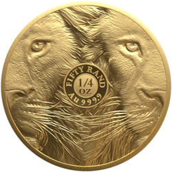 Big Five III: Lion 1/4 oz zlato 2025 Proof