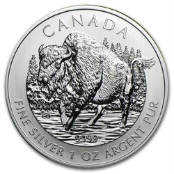 American Bison 1 once d'argent 2013