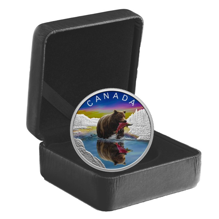 Canadá: Wildlife Reflections - Oso Grizzly coloreado $20 Plata 2024 Proof