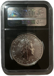 Britannia 1 oz Plata 2017 20 Aniversario Privy NGC Gema Sin Circular Primer Día de Emisión Dañado SLAB