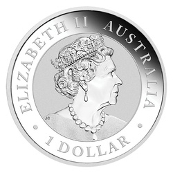 Kookaburra 1 once d'argent 2023