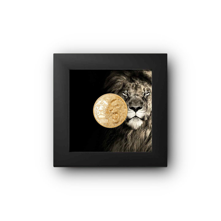Cook Islands: King of the South - Lion 1/4 uncji Złota 2023 Proof High Relief
