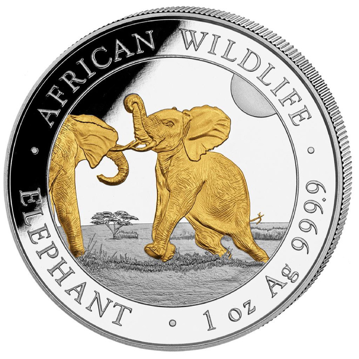 African Wildlife: Elefante somalí dorado 1 oz Plata 2024