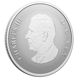 Canada: Benvenuto al mondo 10 dollari in argento 2026 Reverse Proof