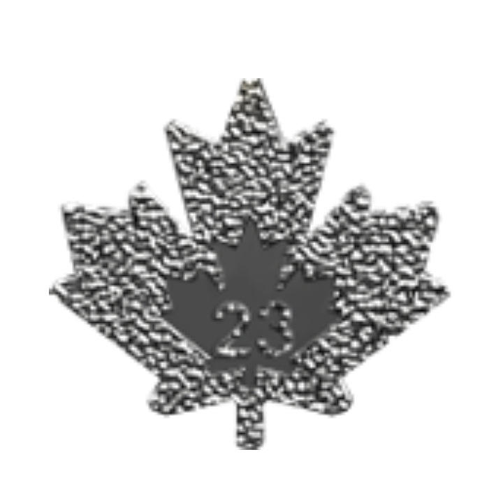 Set of 3 Canadian Maple Leaf Treasured 3 x 1 oz Silver coins 2022, 2023, 2024