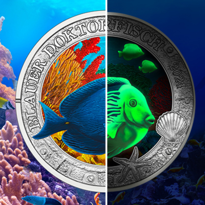 Blue Doctorfish kolorowany 3 Euro Miedź 2024