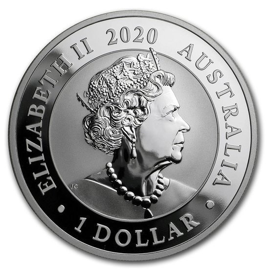 Schwan 1 oz Silbermünze 2020