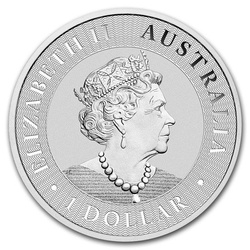 Australijski Kangur 1 uncja Srebra 2019 PAKIET 25 SZTUK