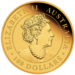 Australijski dziki koń - Brumby 1 uncja Złota 2021 Proof