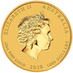 Lunar II: Rok Świni 10 uncji Złota 2019