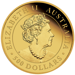 Kangourou australien 5 onces d'or 2022 Proof