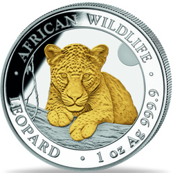 Somalia: Afrikanische Tierwelt - Leopard Vergoldet 1 Unze Silber 2025