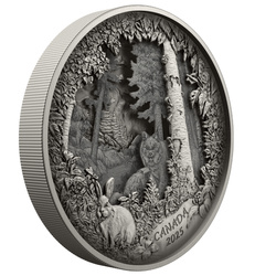 Kanada: Predator oder Prey in Shadow Box $175 2025 Silber Antique Finish Münze