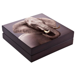 Britannia 1 oncia d'argento 2023 Proof