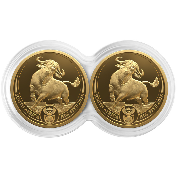 Set de Monede de Aur Big Five III: Bivol 2 x 1/4 Uncie de Aur 2026 Proof Doublecap