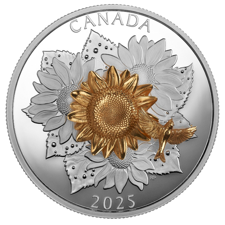 Kanada: The Goldfinch and the Bloom vergoldet 50 $ Silber 2025 Proof