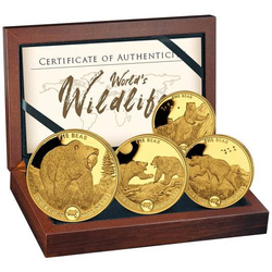 Set di 4 monete Congo: Fauna selvatica mondiale - L'orso Oro 2022 Proof