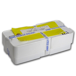 American Eagle 1 oz Platinum 2016