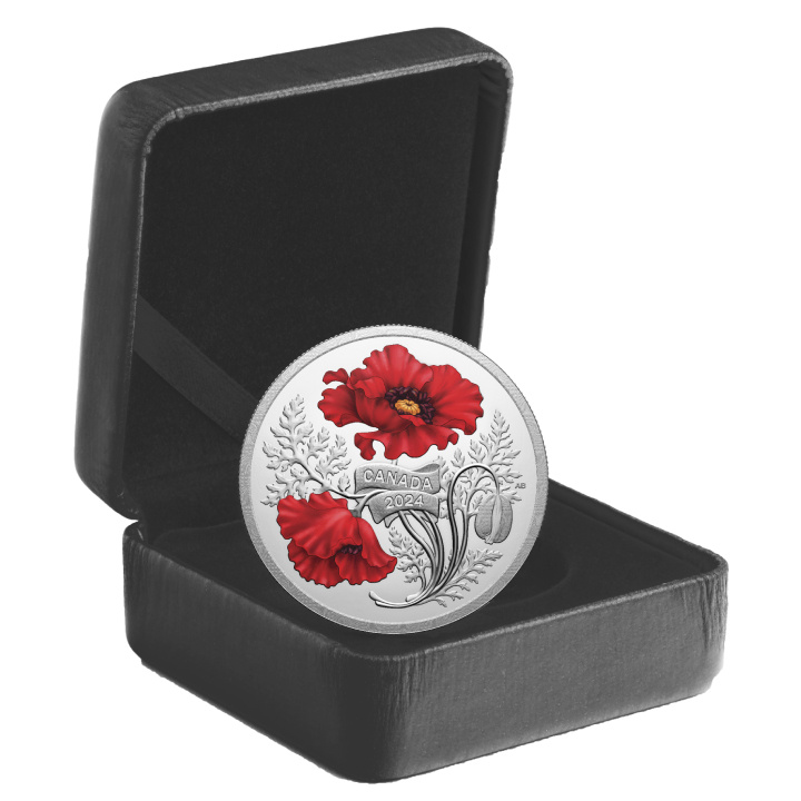 Canada: Remembrance Day colorato $20 Argento 2024 Proof