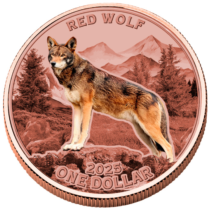 Mesa Grande Sovereign: Red Wolf kolorowany 5 uncji Miedzi 2025