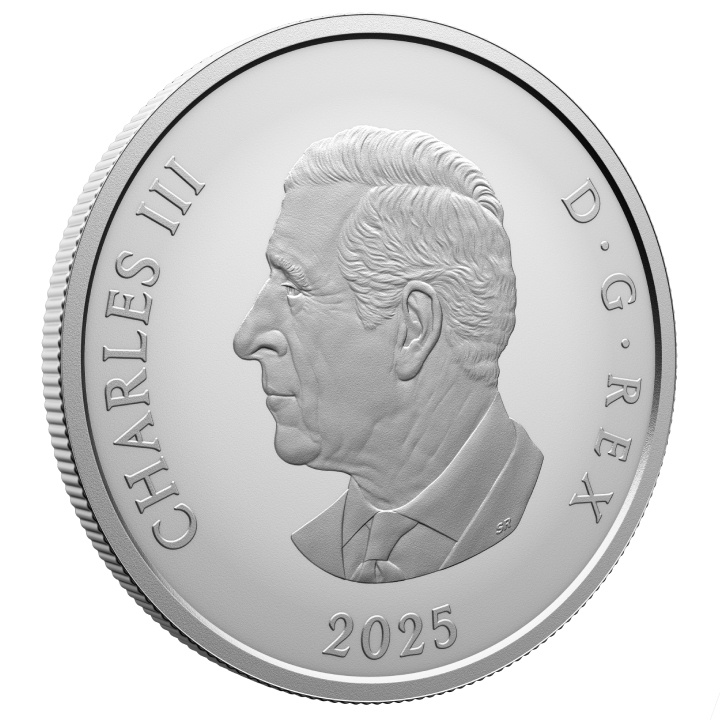 Canadá: Williamson Broche de Diamantes $20 Plata 2025 Prueba Mate