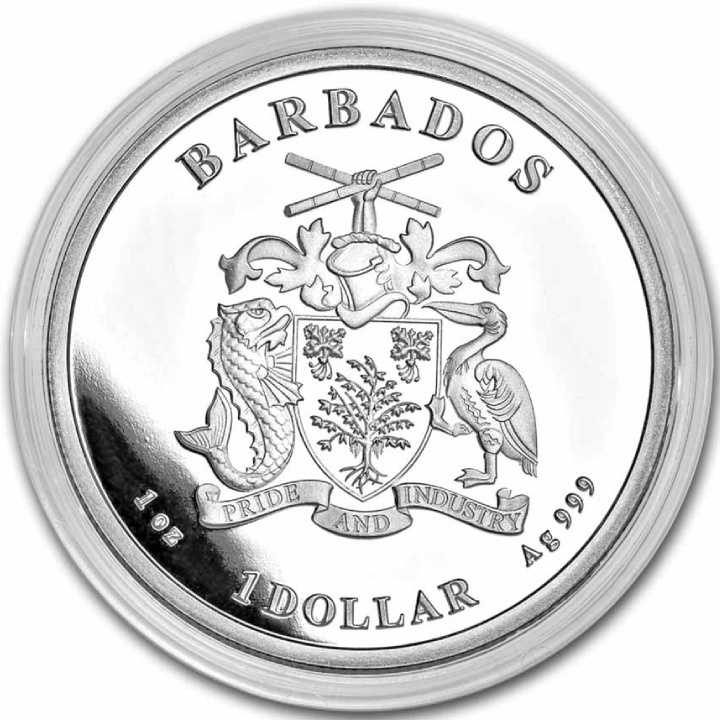 Barbados: Pellicano caraibico 1 oncia d'argento 2023