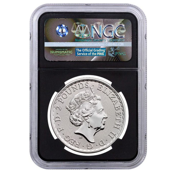 Britannia 1 Onza Plata 2017 20 Aniversario Privy NGC Gema Sin Circular Primer Día de Emisión