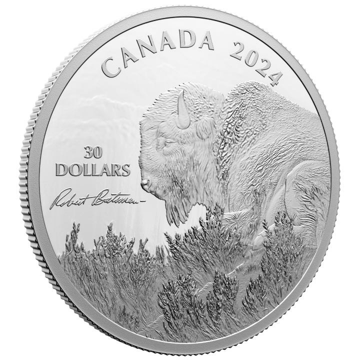 Canadá: Vigilancia meteorológica - Bisonte $30 Plata 2024 Proof