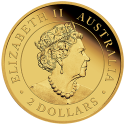 Canguro Australiano 0.5 gramos Oro 2022 Proof