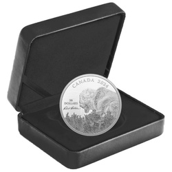 Canada: Weather Watch - Bisonte $30 Argento 2024 Proof