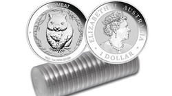 Australian Wombat 1 oz Silver 2021