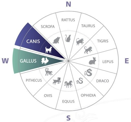 ZI:SIN Canis 1 once d'argent 2018