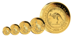 Canguro australiano 1/2 oncia d'oro 2020
