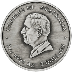 Kookaburra Kaa-Kaa kolorowany 2 uncje Srebra 2024 Antiqued Coin