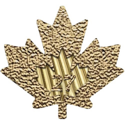 Moneda de oro Maple Leaf canadiense 1 onza de oro 2027
