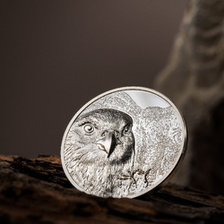 Mongólia: Mongol sólyom 1 uncia ezüst 2023 Proof Ultra High Relief