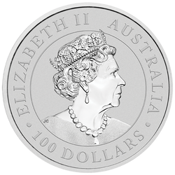 Australijski Kangur 1 uncja Platyny PAKIET 10 SZTUK 2021